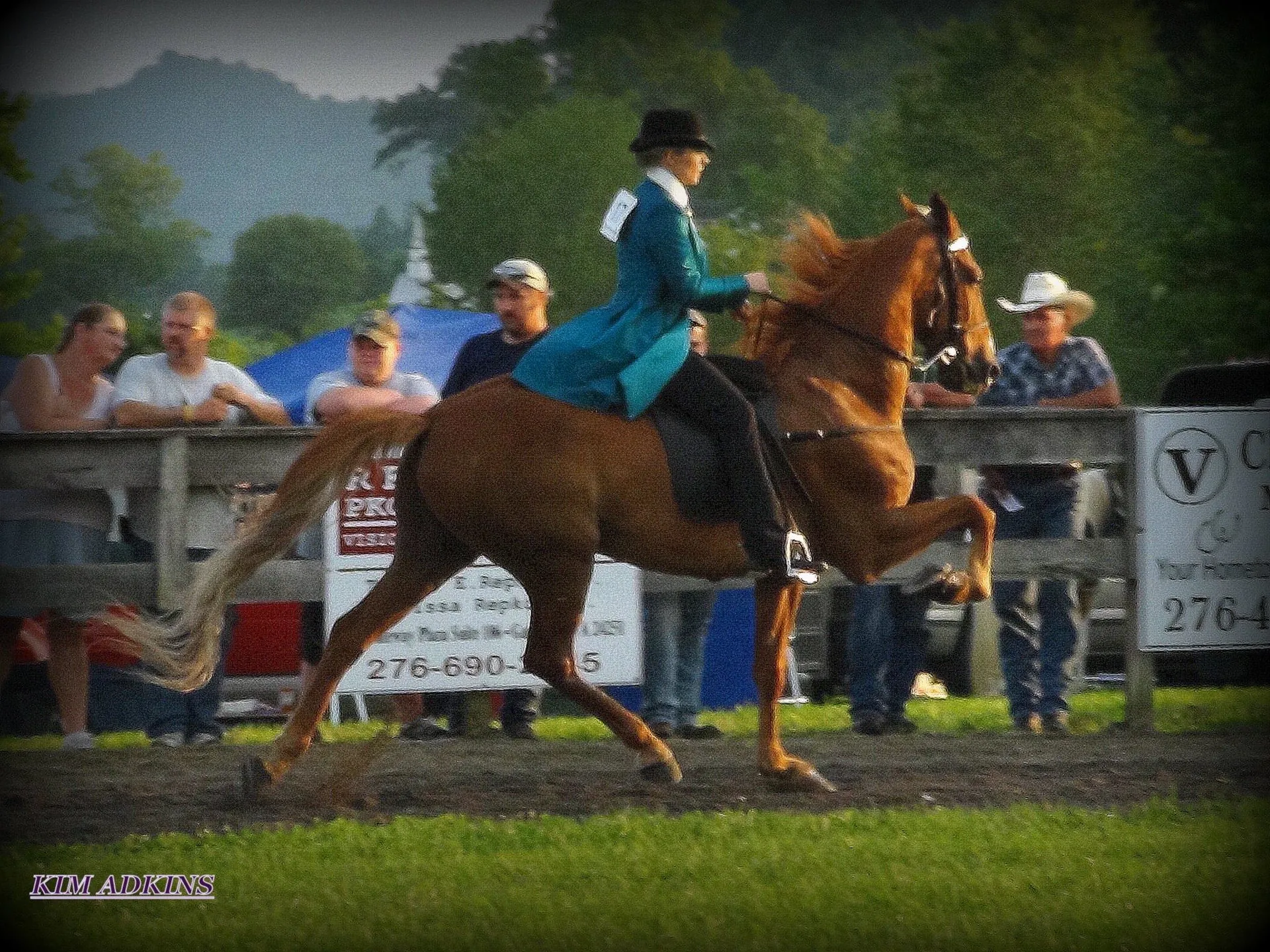 A chestnut Racking Horse and rider in the show ring
