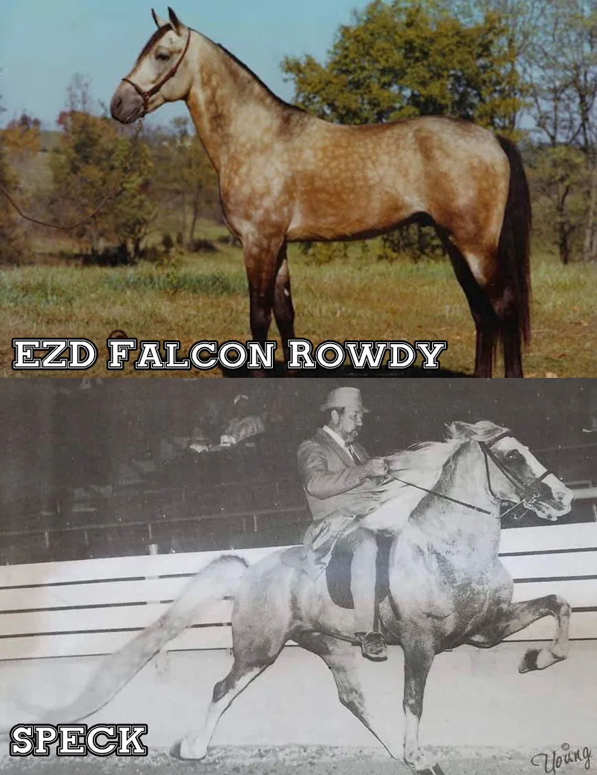 Racking Horse Breeders